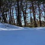 Шале Woods Etna