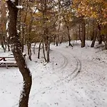 Woods Etna Шале