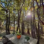 Шале Woods Etna
