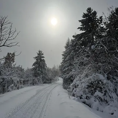 Woods Etna * Ragalna