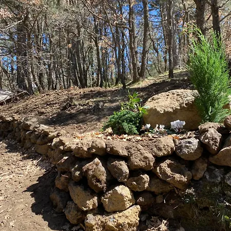 Woods Etna Horská chata