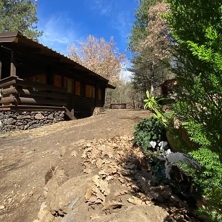 Chalet Woods Etna