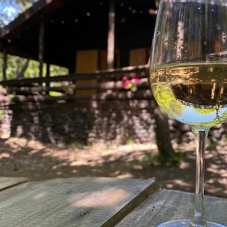 Horská chata Woods Etna