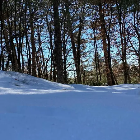 Alpehytte Woods Etna