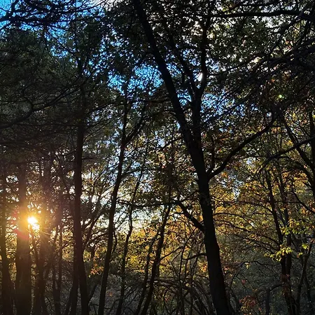 Woods Etna Шале *
