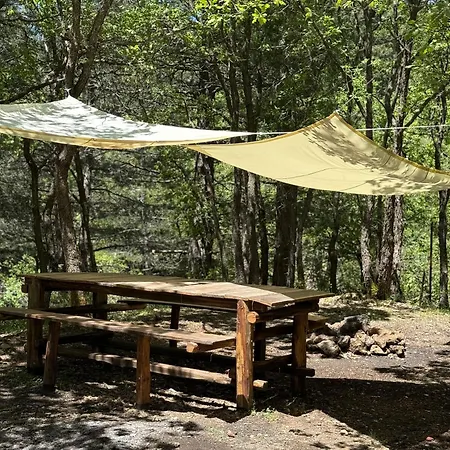Alpehytte Woods Etna