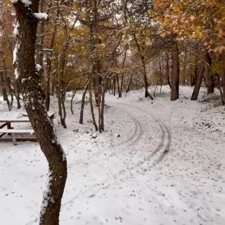 Woods Etna Alpehytte